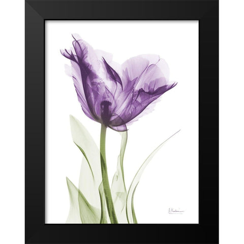 Lavender Trance Black Modern Wood Framed Art Print by Koetsier, Albert