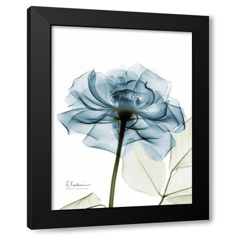 Teal Rose Black Modern Wood Framed Art Print with Double Matting by Koetsier, Albert