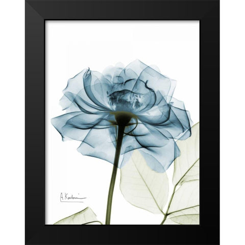 Teal Rose Black Modern Wood Framed Art Print by Koetsier, Albert