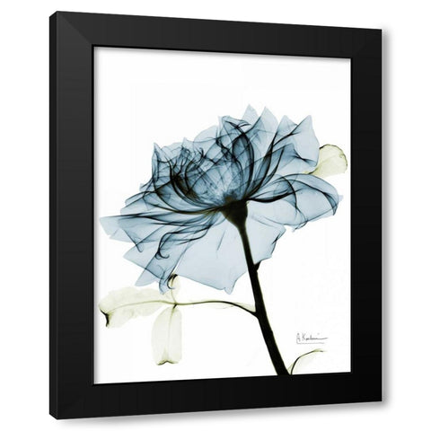 Teal Rose 2 Black Modern Wood Framed Art Print with Double Matting by Koetsier, Albert