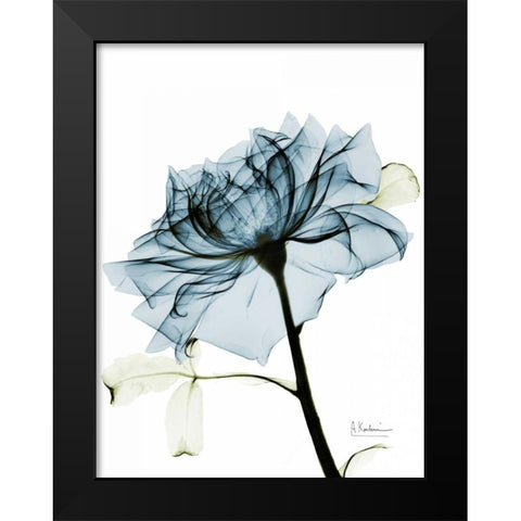 Teal Rose 2 Black Modern Wood Framed Art Print by Koetsier, Albert