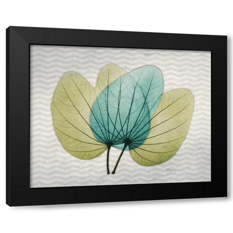 Citrus Orchid Tree Black Modern Wood Framed Art Print by Koetsier, Albert