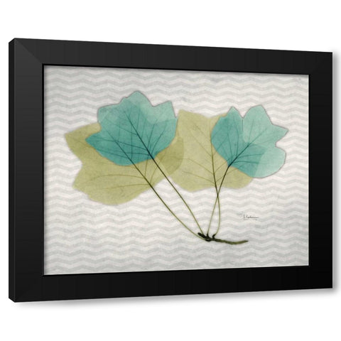 Citrus Tulip Tree Black Modern Wood Framed Art Print with Double Matting by Koetsier, Albert