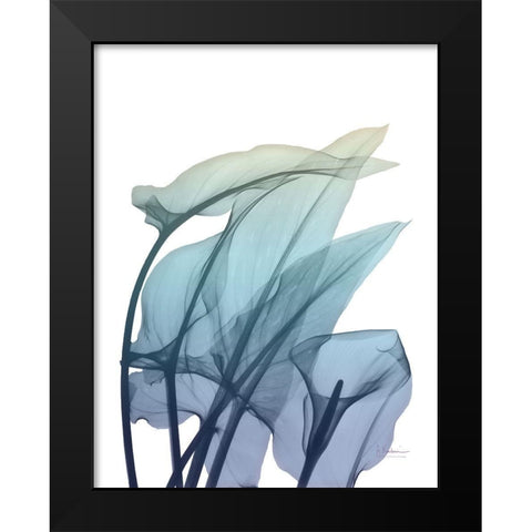 Ombre Expression 3 Black Modern Wood Framed Art Print by Koetsier, Albert