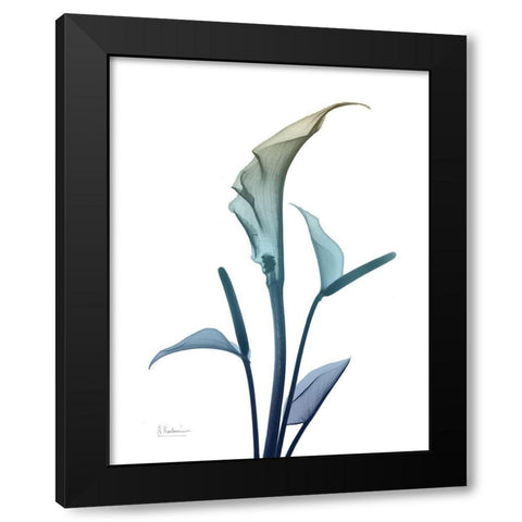 Ombre Expression 4 Black Modern Wood Framed Art Print with Double Matting by Koetsier, Albert