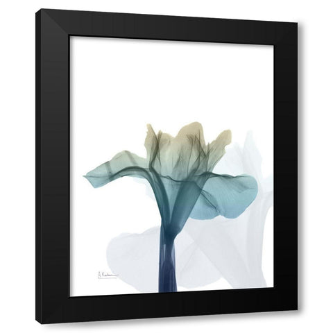 Ombre Expression 6 Black Modern Wood Framed Art Print with Double Matting by Koetsier, Albert