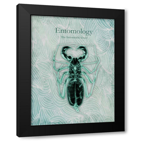 Indomitable Insect Black Modern Wood Framed Art Print with Double Matting by Koetsier, Albert