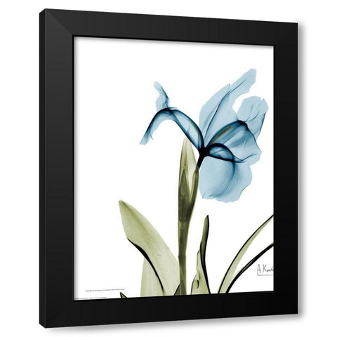 Iris B76 Black Modern Wood Framed Art Print with Double Matting by Koetsier, Albert
