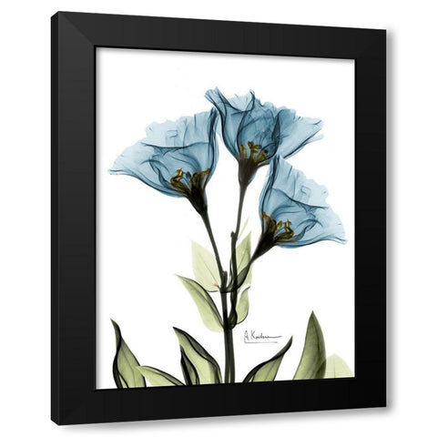 Gentian Sapphire NuetBlue Black Modern Wood Framed Art Print with Double Matting by Koetsier, Albert