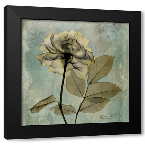 Rose Black Modern Wood Framed Art Print with Double Matting by Koetsier, Albert