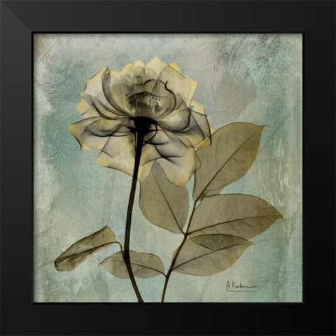 Rose Black Modern Wood Framed Art Print by Koetsier, Albert