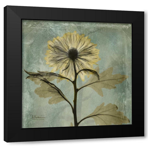 Chrysanthemum Black Modern Wood Framed Art Print by Koetsier, Albert