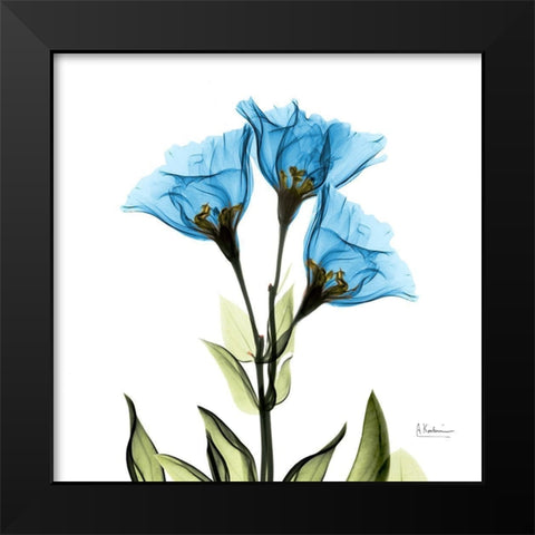 Gentian Sapphire L301 Black Modern Wood Framed Art Print by Koetsier, Albert