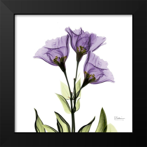 Gentian Purple L301 Black Modern Wood Framed Art Print by Koetsier, Albert