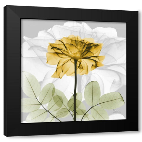 Rose in Gold 1 Black Modern Wood Framed Art Print with Double Matting by Koetsier, Albert