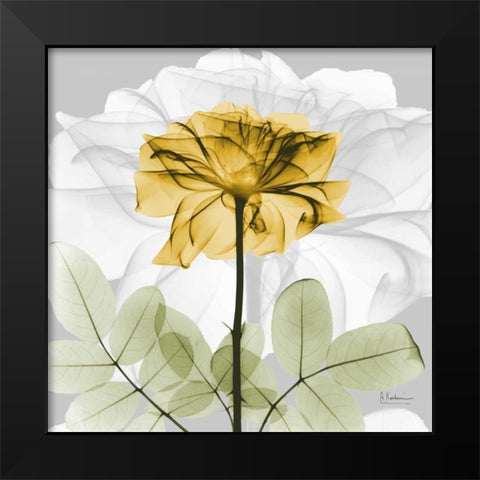 Rose in Gold 1 Black Modern Wood Framed Art Print by Koetsier, Albert