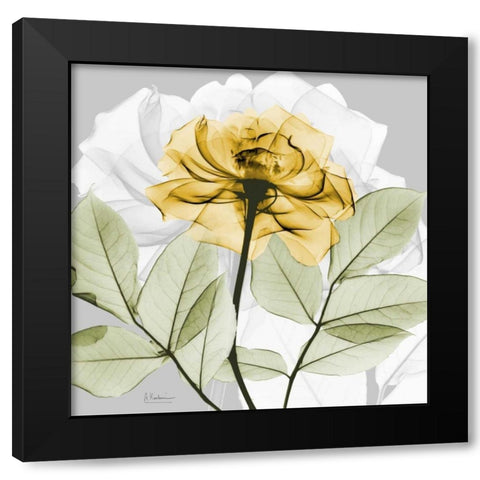 Rose in Gold 3 Black Modern Wood Framed Art Print with Double Matting by Koetsier, Albert