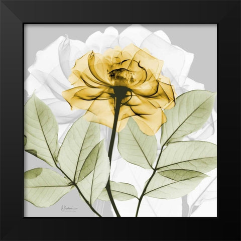 Rose in Gold 3 Black Modern Wood Framed Art Print by Koetsier, Albert