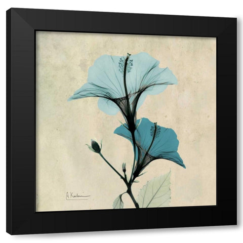 Hibiscus Black Modern Wood Framed Art Print with Double Matting by Koetsier, Albert