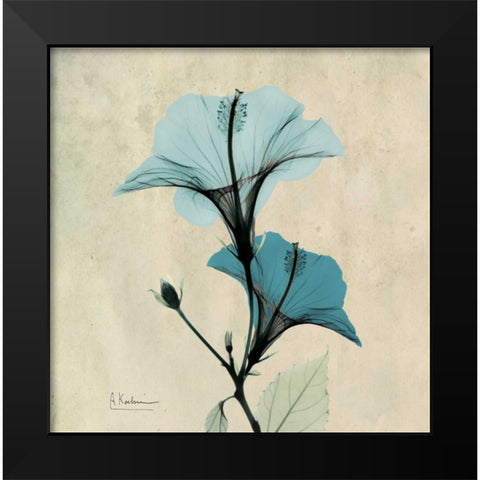 Hibiscus Black Modern Wood Framed Art Print by Koetsier, Albert