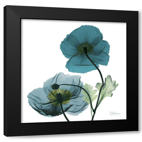 Iceland Poppy W Black Modern Wood Framed Art Print by Koetsier, Albert