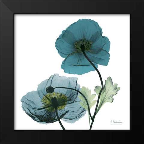 Iceland Poppy W Black Modern Wood Framed Art Print by Koetsier, Albert