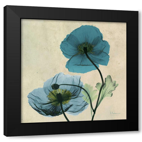 Iceland Poppy Black Modern Wood Framed Art Print by Koetsier, Albert