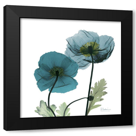 Iceland Poppy W Black Modern Wood Framed Art Print by Koetsier, Albert