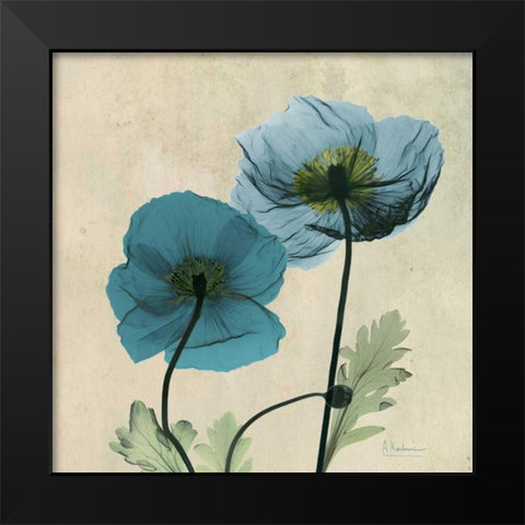 Iceland Poppy Black Modern Wood Framed Art Print by Koetsier, Albert