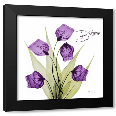 Believe Sandersonia H34 Black Modern Wood Framed Art Print by Koetsier, Albert