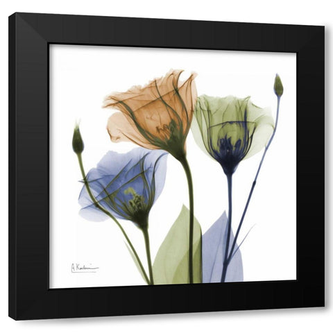 Gentian Buddies Black Modern Wood Framed Art Print with Double Matting by Koetsier, Albert