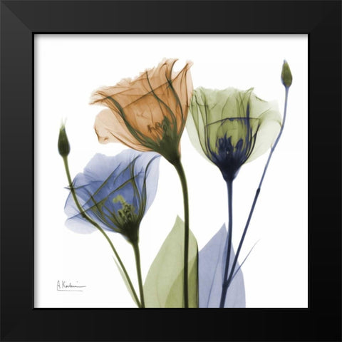 Gentian Buddies Black Modern Wood Framed Art Print by Koetsier, Albert