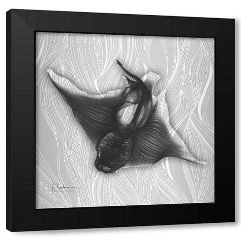 Skate Vision 3 Black Modern Wood Framed Art Print with Double Matting by Koetsier, Albert