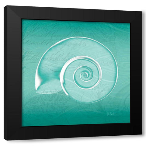 Aqua Ramshorn Black Modern Wood Framed Art Print with Double Matting by Koetsier, Albert