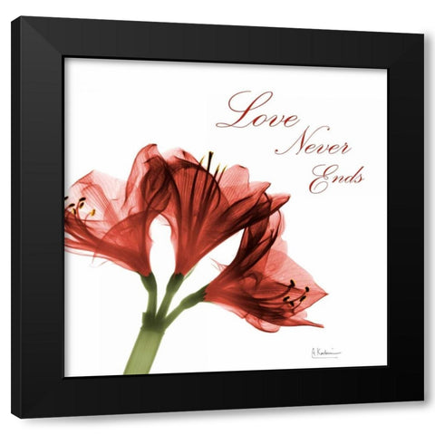 Amaryllis Quote Black Modern Wood Framed Art Print with Double Matting by Koetsier, Albert