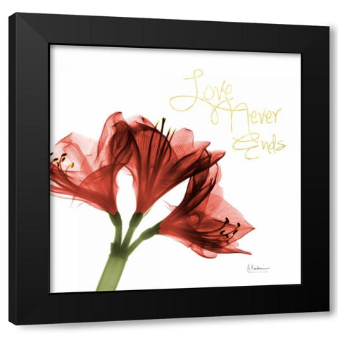 Amaryllis Endless Love Black Modern Wood Framed Art Print by Koetsier, Albert