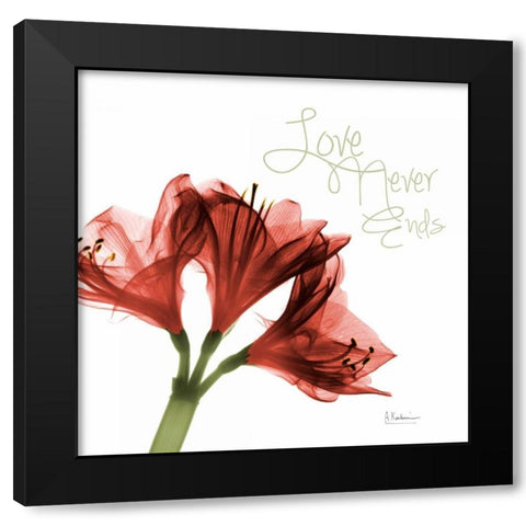 Amaryllis Love Black Modern Wood Framed Art Print by Koetsier, Albert