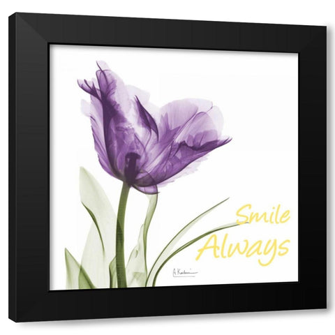 Smile Always Tulip Black Modern Wood Framed Art Print with Double Matting by Koetsier, Albert
