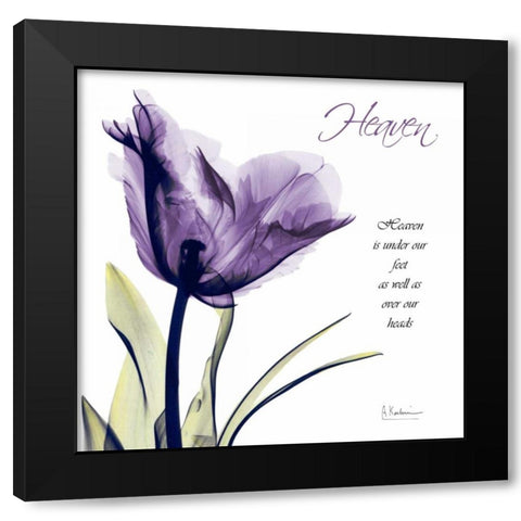 Tulip Heaven Black Modern Wood Framed Art Print with Double Matting by Koetsier, Albert