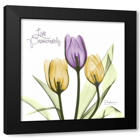 Live Passionately Tulips Black Modern Wood Framed Art Print by Koetsier, Albert