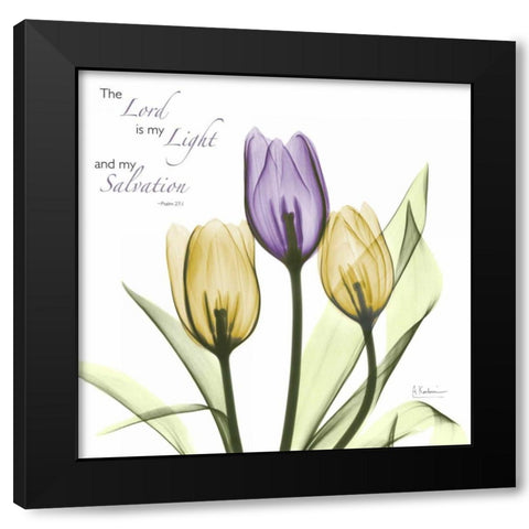 Tulips Salvation Black Modern Wood Framed Art Print with Double Matting by Koetsier, Albert