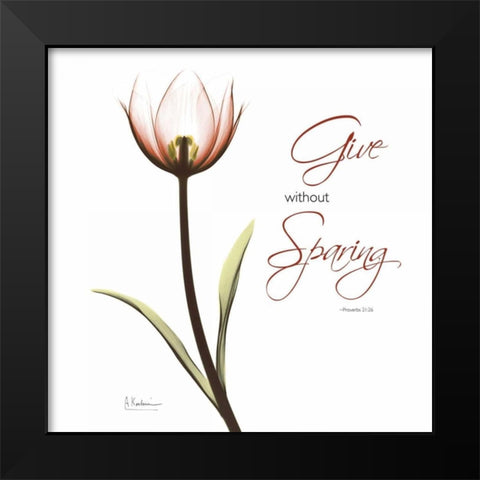 Giving Tulip C69 Black Modern Wood Framed Art Print by Koetsier, Albert