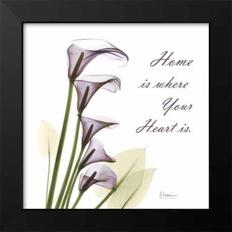 Calla Lilies Home Black Modern Wood Framed Art Print by Koetsier, Albert