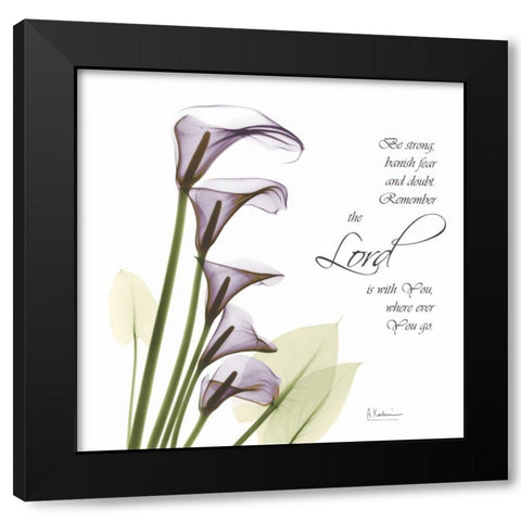 Calla Lilies Remember Black Modern Wood Framed Art Print with Double Matting by Koetsier, Albert