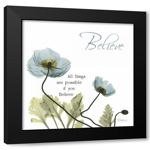 Poppies Believe Black Modern Wood Framed Art Print with Double Matting by Koetsier, Albert