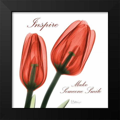 Inspire Tulips Black Modern Wood Framed Art Print by Koetsier, Albert