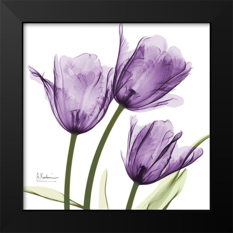 Purple Trio Tulips Black Modern Wood Framed Art Print by Koetsier, Albert