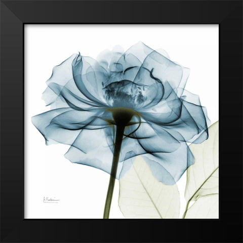 Teal Rose Black Modern Wood Framed Art Print by Koetsier, Albert