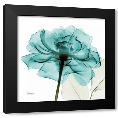 Teal Rose Black Modern Wood Framed Art Print with Double Matting by Koetsier, Albert