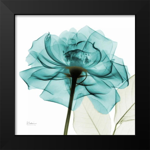 Teal Rose Black Modern Wood Framed Art Print by Koetsier, Albert